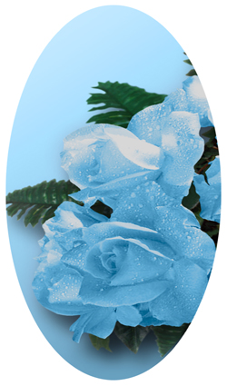 DNSBLUF 061 Bouquet Of Roses Blue